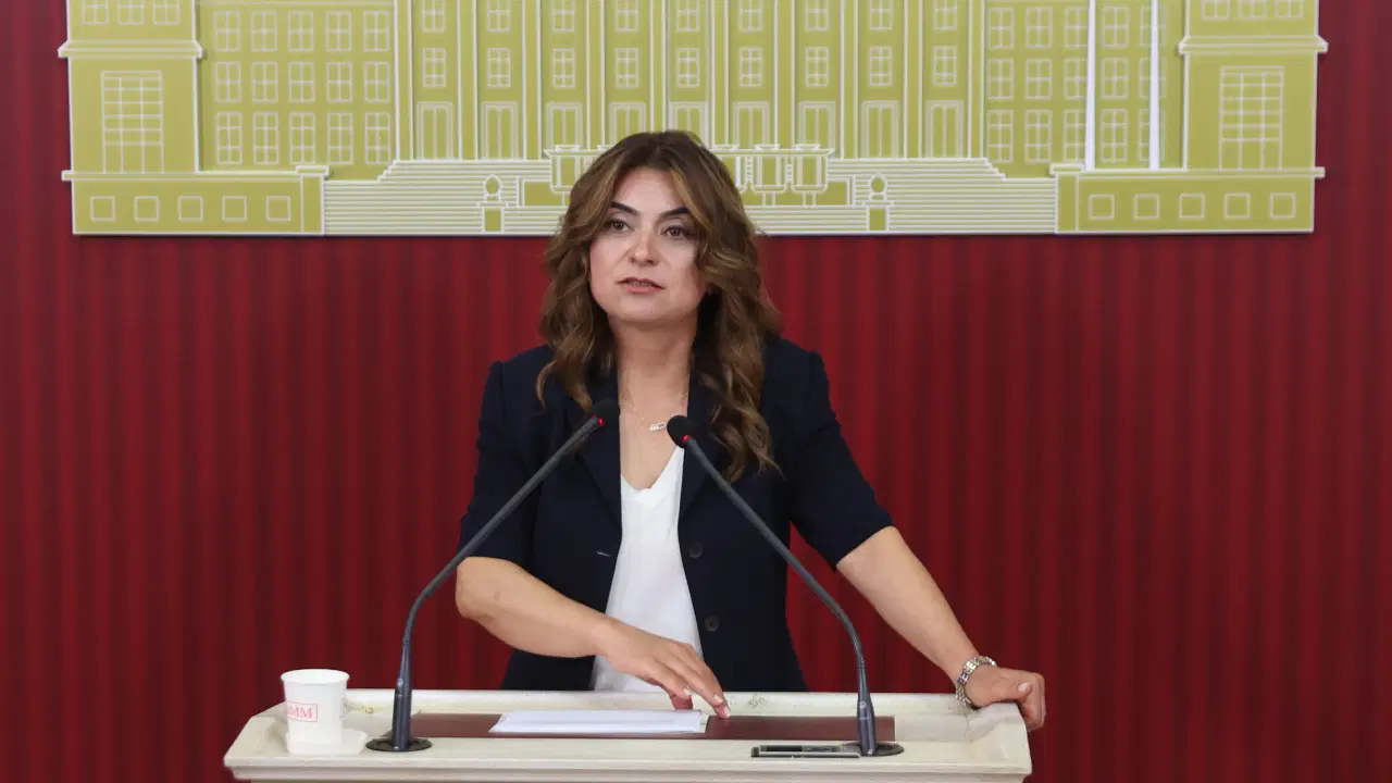 Dem parti grup baskanvekili kocyigit surecle ilgili cerceve yasa taslaginin bu hafta imrali heyetine Ilkwe63i